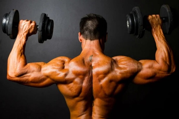 Ganho muscular: você tem treinado mas não nota resultado?