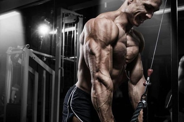 Como aprimorar seu treino de tríceps e obter resultados mais eficientes?
