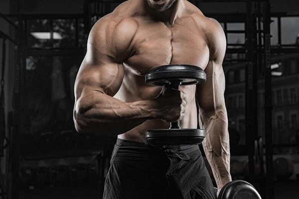 O que fazer para otimizar os seus treinos de bíceps?