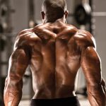 Quais os melhores exercícios para trapézio?