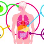 POR QUE GANHAMOS PESO COM O PASSAR DO TEMPO? DICA: NÃO É CULPA DO METABOLISMO!