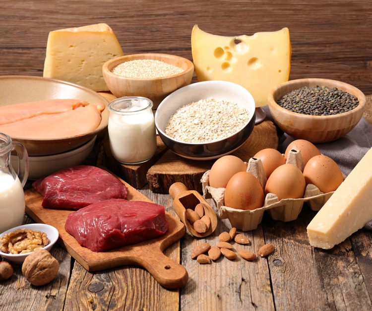 Conheça os alimentos que contém proteínas para ganhar massa muscular!