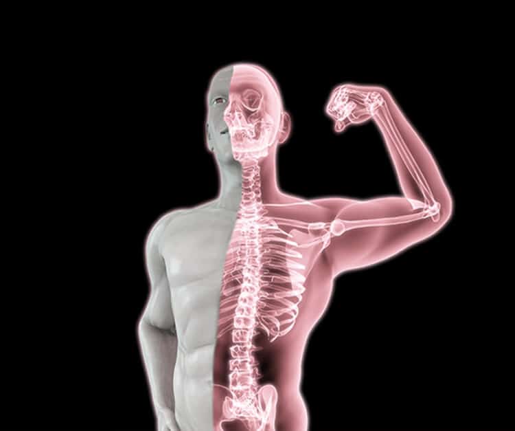 As vantagens dos exercícios físicos para os músculos e ossos