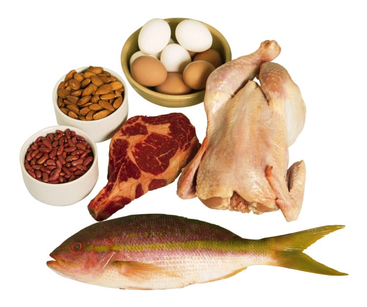 Alimentos ricos em proteínas magras