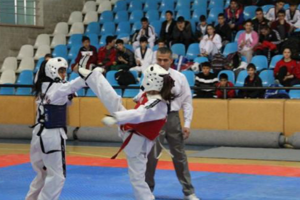 Taekwondo - Como lutar?