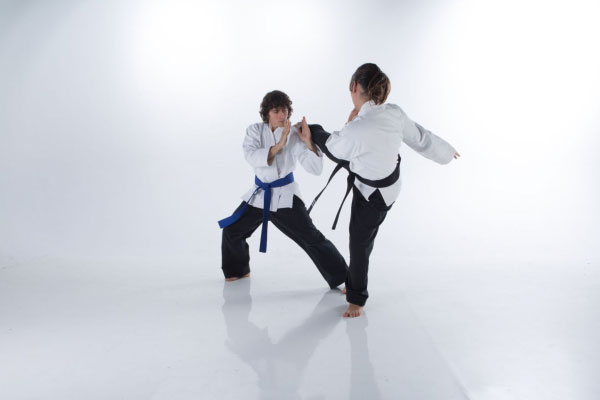 Tudo sobre o taekwondo conceito
