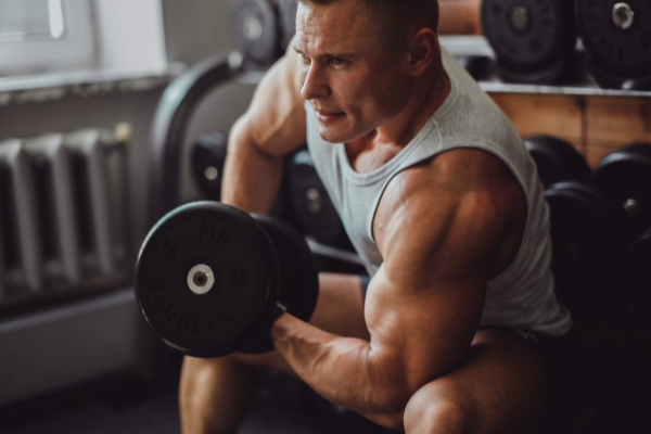 Qual O Treino Musculação Para Definição Muscular?