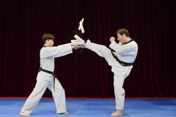 Tudo Sobre Treino De Taekwondo Coreano
